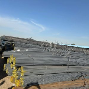 photo_5449550910456981289_y