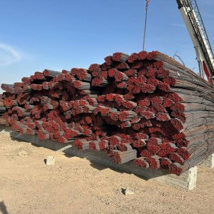 photo_5449550910456981290_y