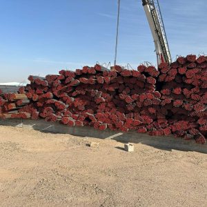 photo_5449550910456981291_y